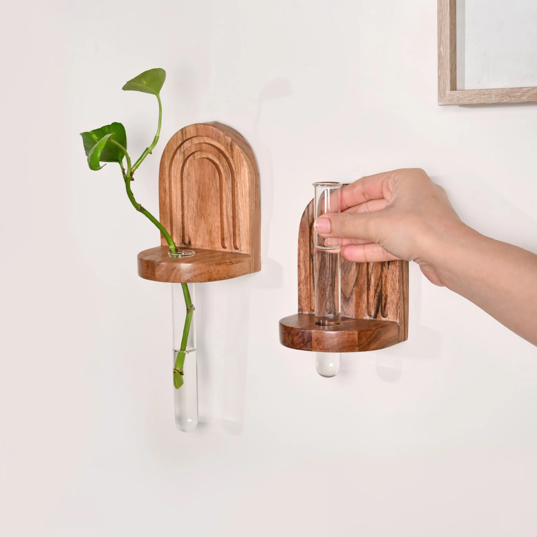 Acacia Wall Mounted Test Tube Planter Set Of 2 - Image 2