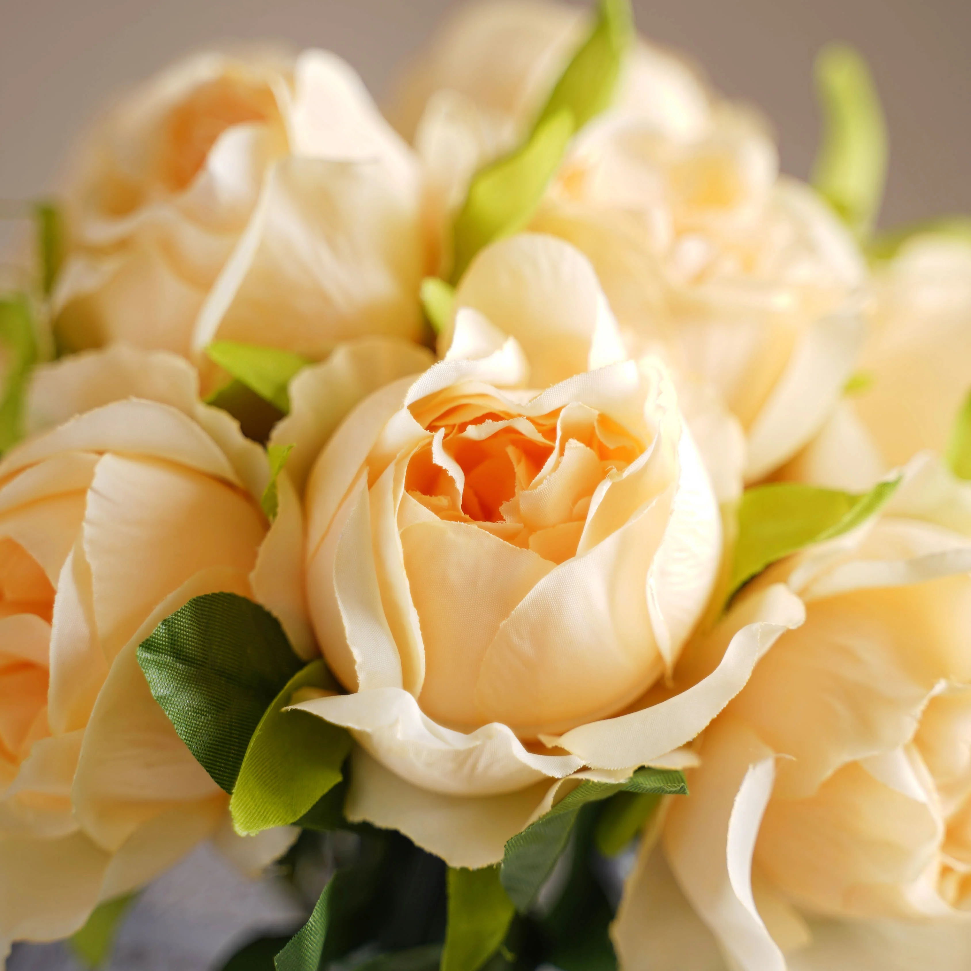 Aesthetic Roses - Image 12