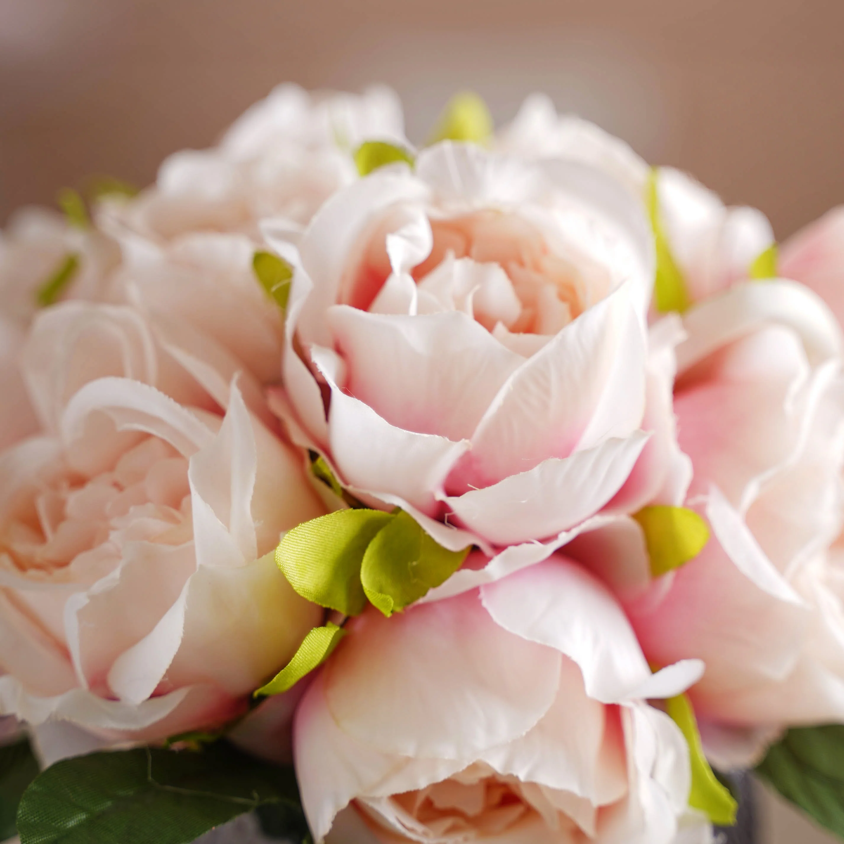 Aesthetic Roses - Image 5