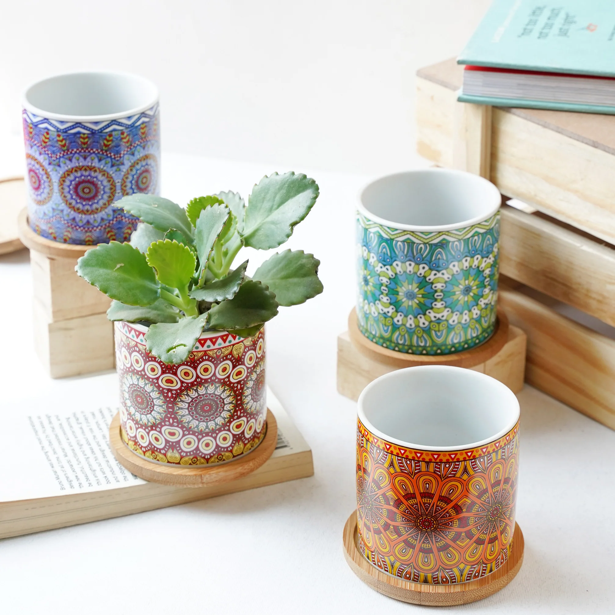 Artful Garden Ceramic Planter With Coaster Set Of 4 - Image 2