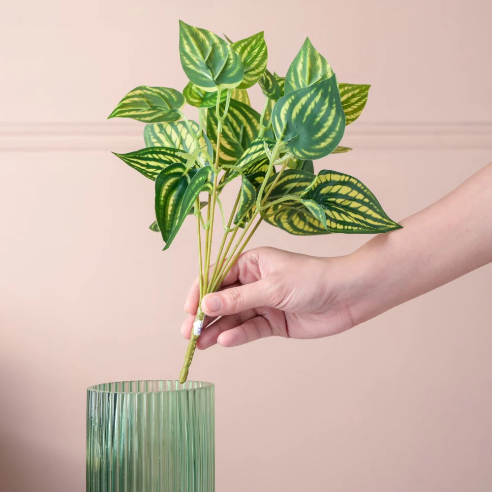 Artificial Peperomia Watermelon Leaves Set Of 2 - Image 2