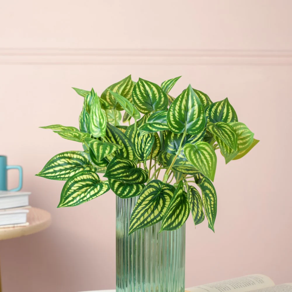 Artificial Peperomia Watermelon Leaves Set Of 2 - Image 5