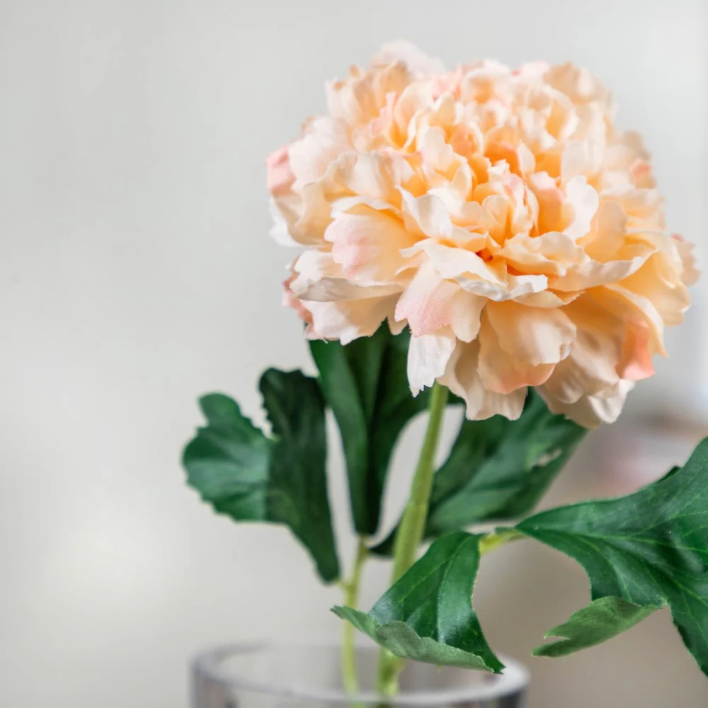 Peony Artificial Flower Peach Set Of 5 - Image 3