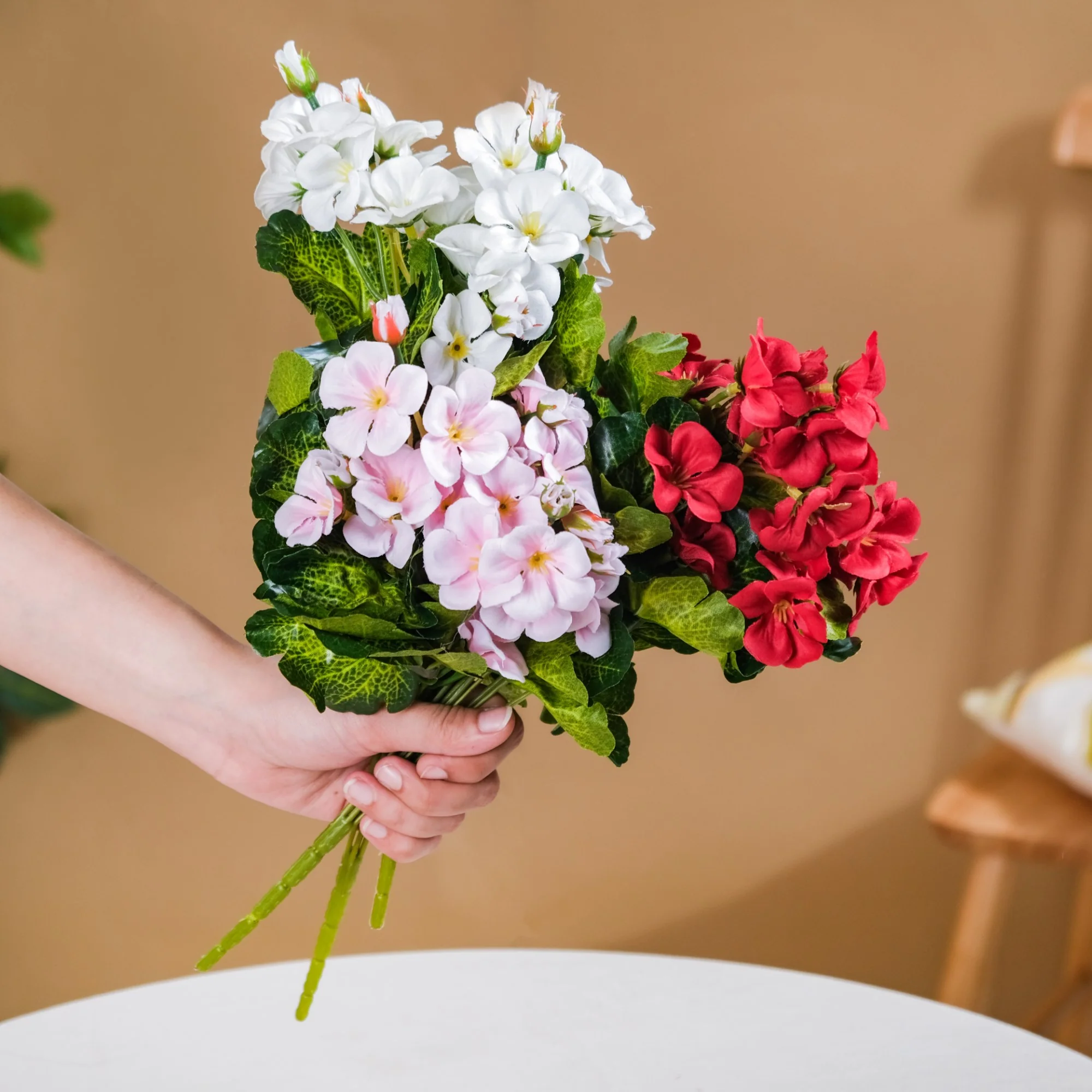 Begonia Flower Stem - Image 2