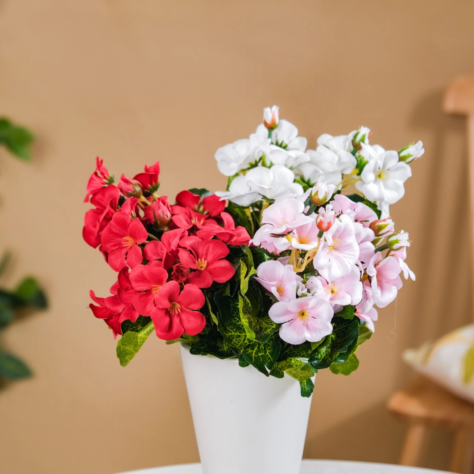 Begonia Flower Stem - Image 3