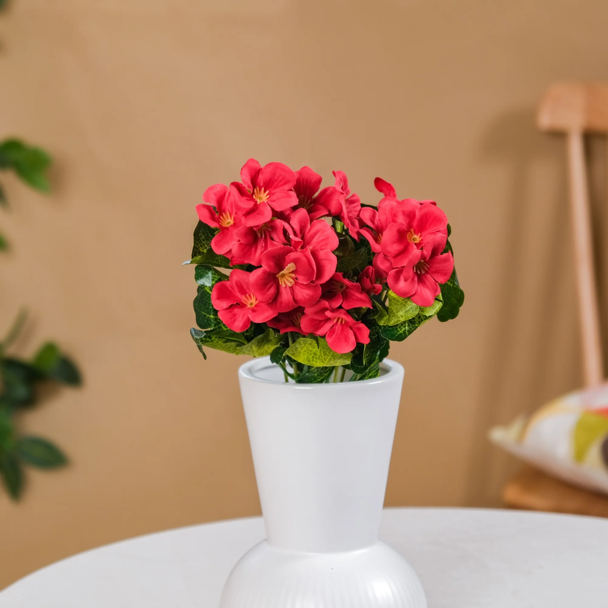Begonia Flower Stem - Image 4