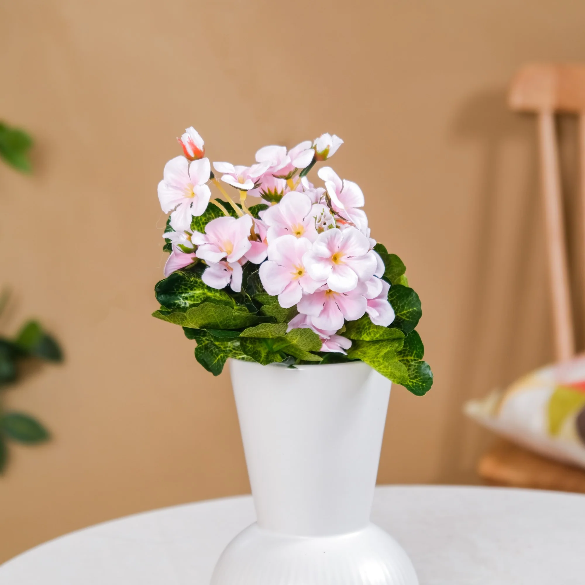 Begonia Flower Stem - Image 5