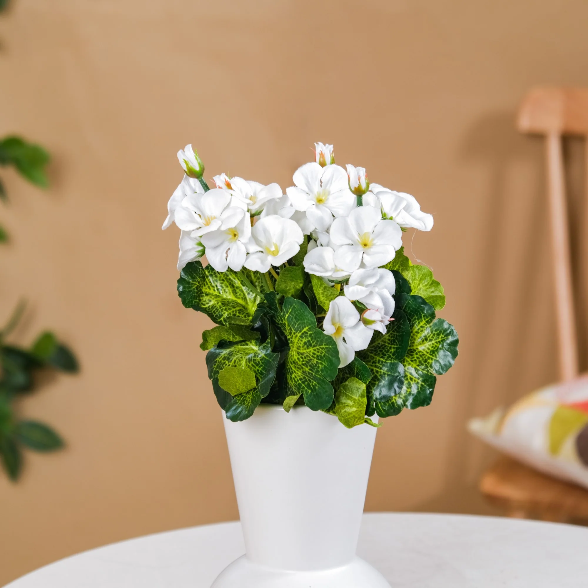 Begonia Flower Stem - Image 6