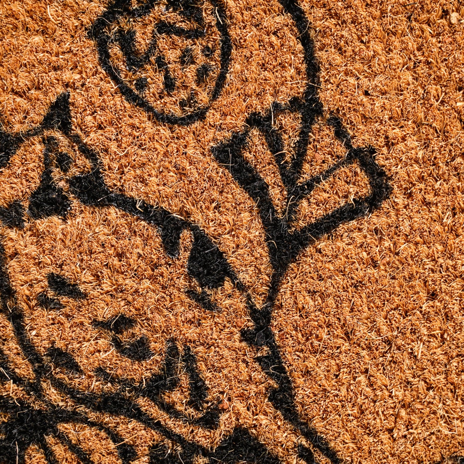 Beige Natural Coir Doormat Nice Shoes 24x16 Inch - Image 7