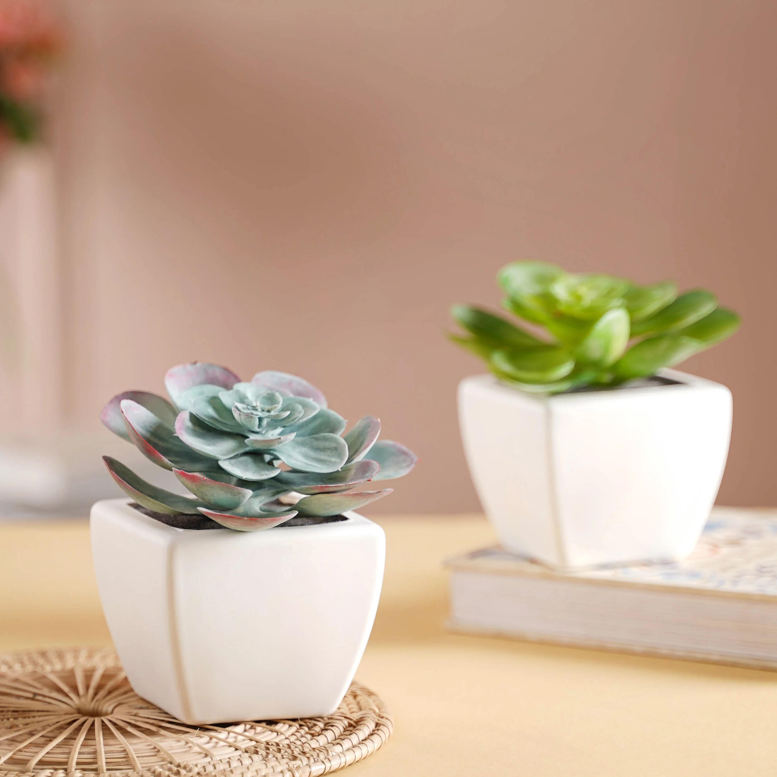 Bonsai Plant - Image 2