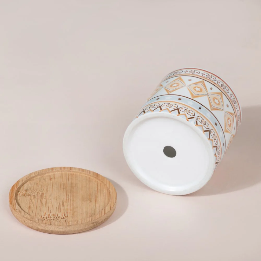 Botanic Expressions Ceramic Planter With Coaster Set Of 2 - Image 12