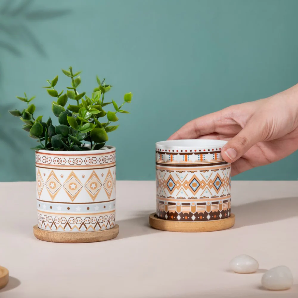 Botanic Expressions Ceramic Planter With Coaster Set Of 2 - Image 3