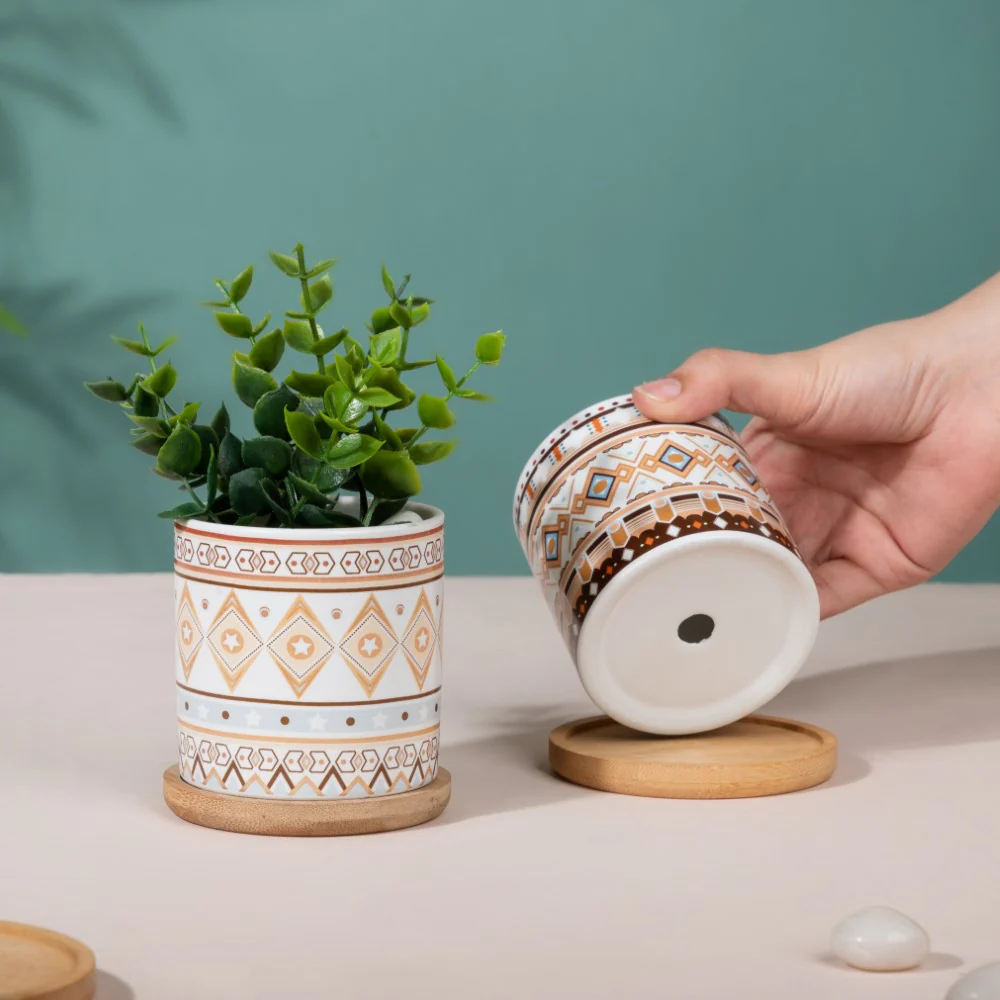 Botanic Expressions Ceramic Planter With Coaster Set Of 2 - Image 5
