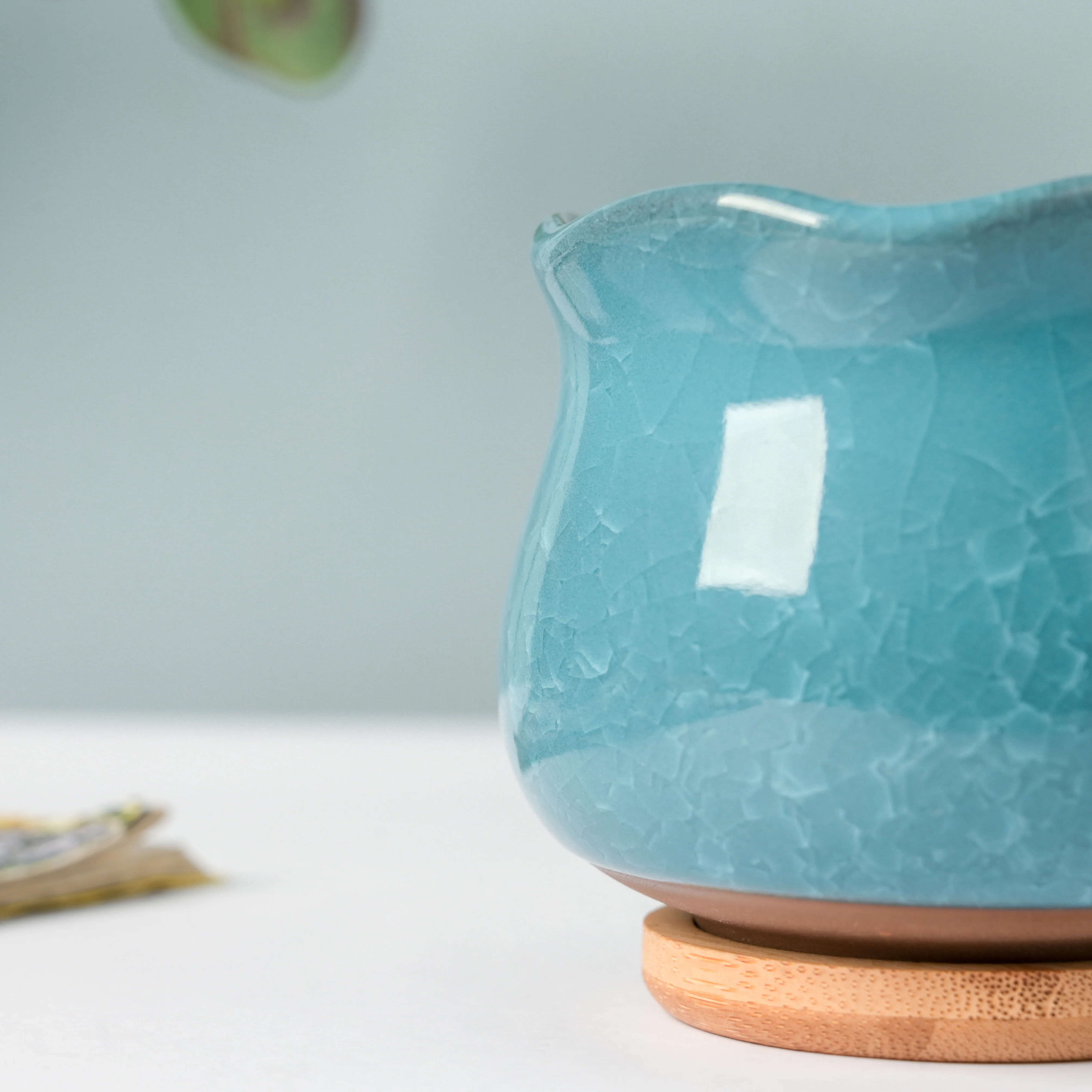 Botanica Blue Ceramic Planter With Coaster - Image 6