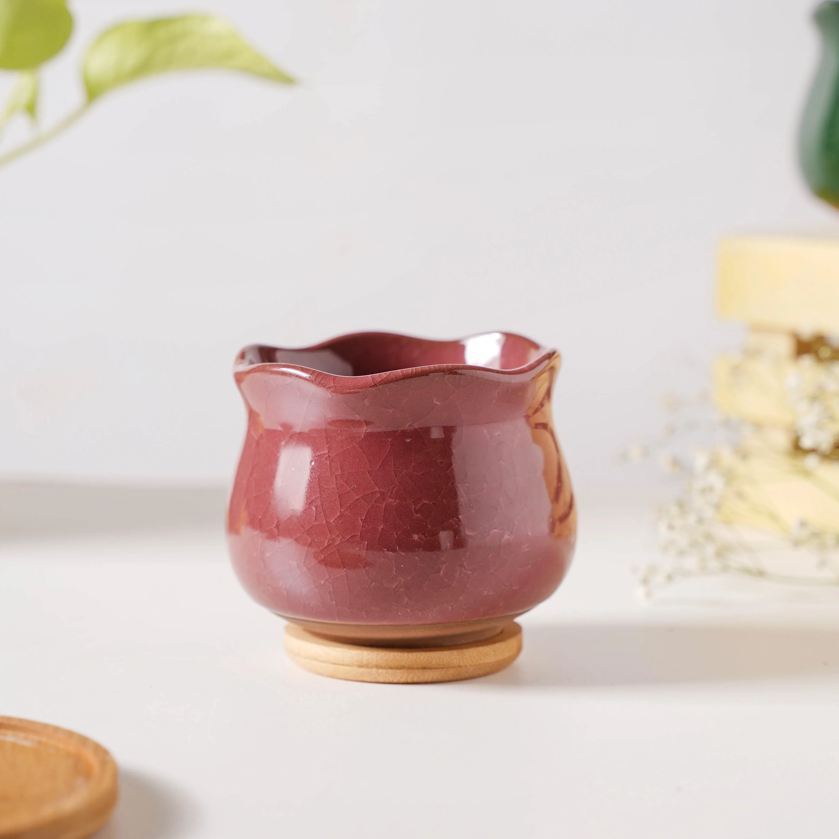 Botanica Brown Ceramic Planter With Coaster - Image 4