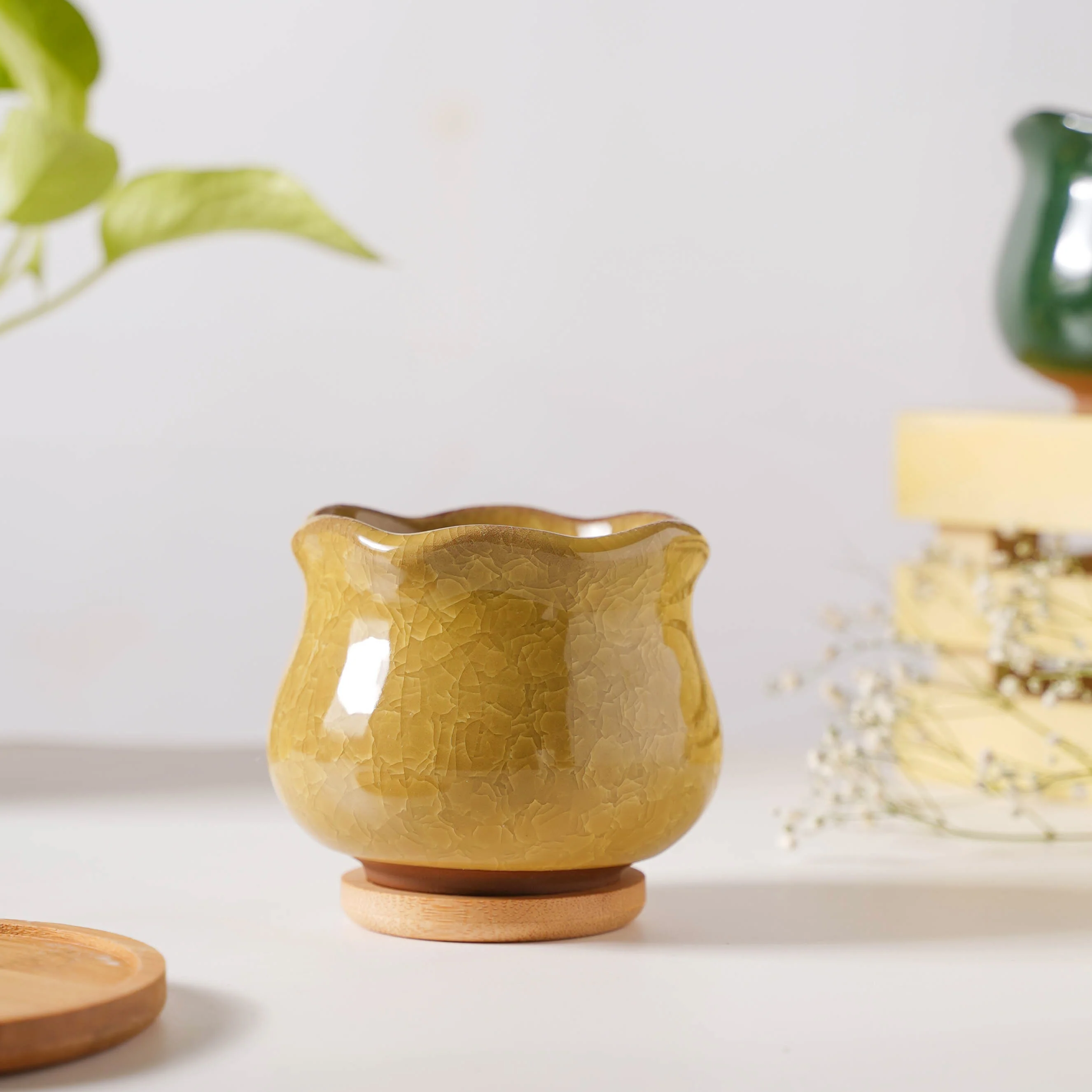 Botanica Ochre Ceramic Planter With Coaster - Image 3