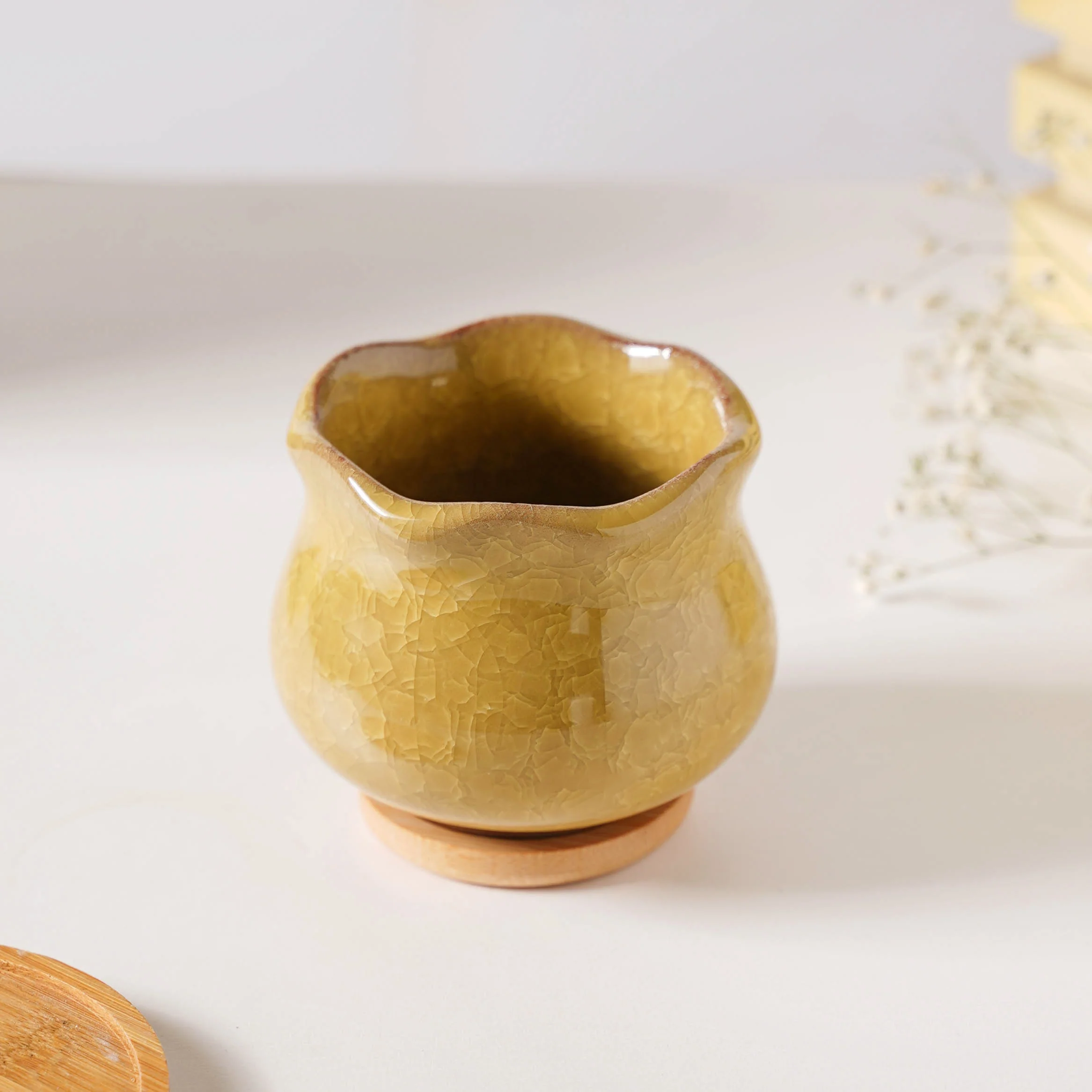 Botanica Ochre Ceramic Planter With Coaster - Image 5