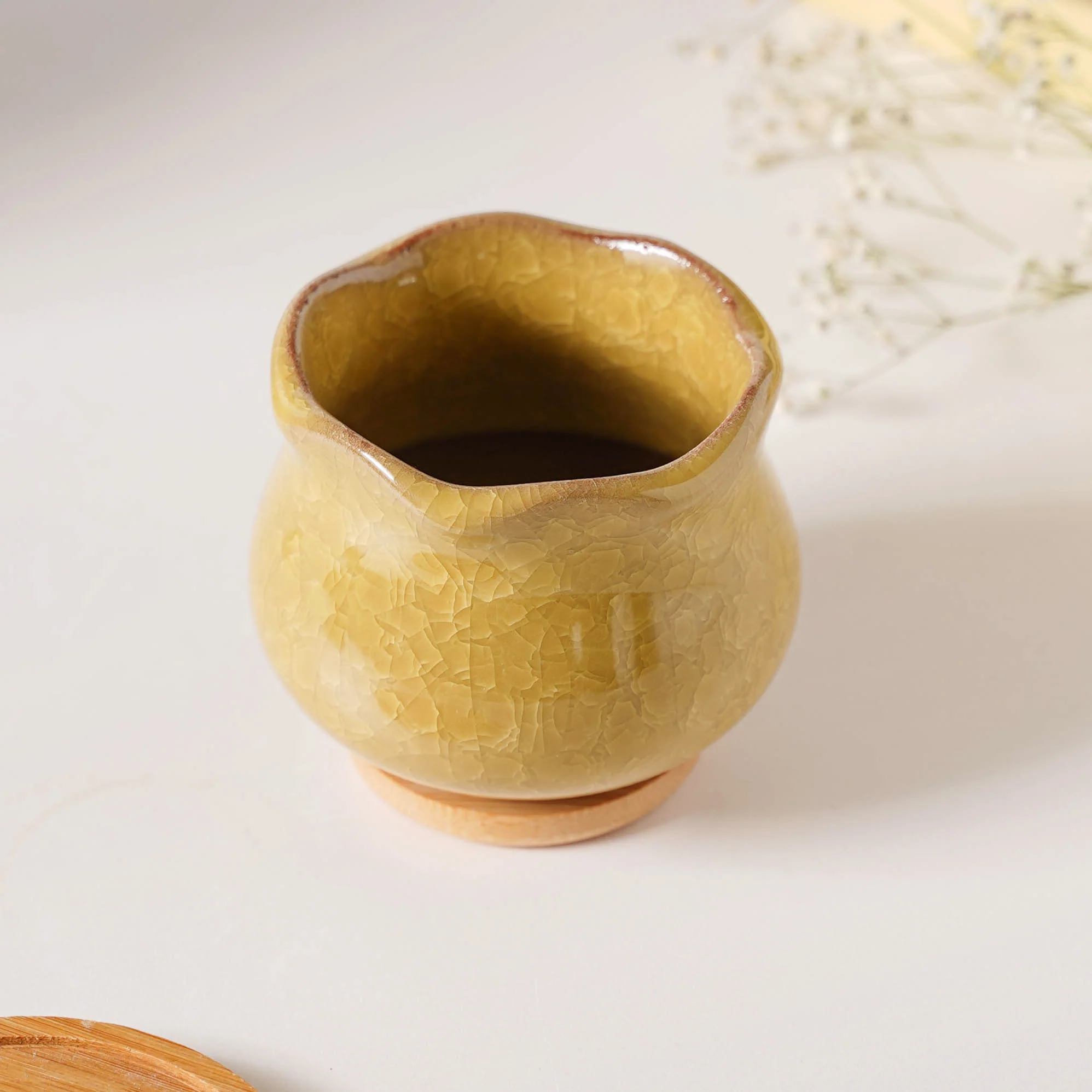 Botanica Ochre Ceramic Planter With Coaster - Image 6