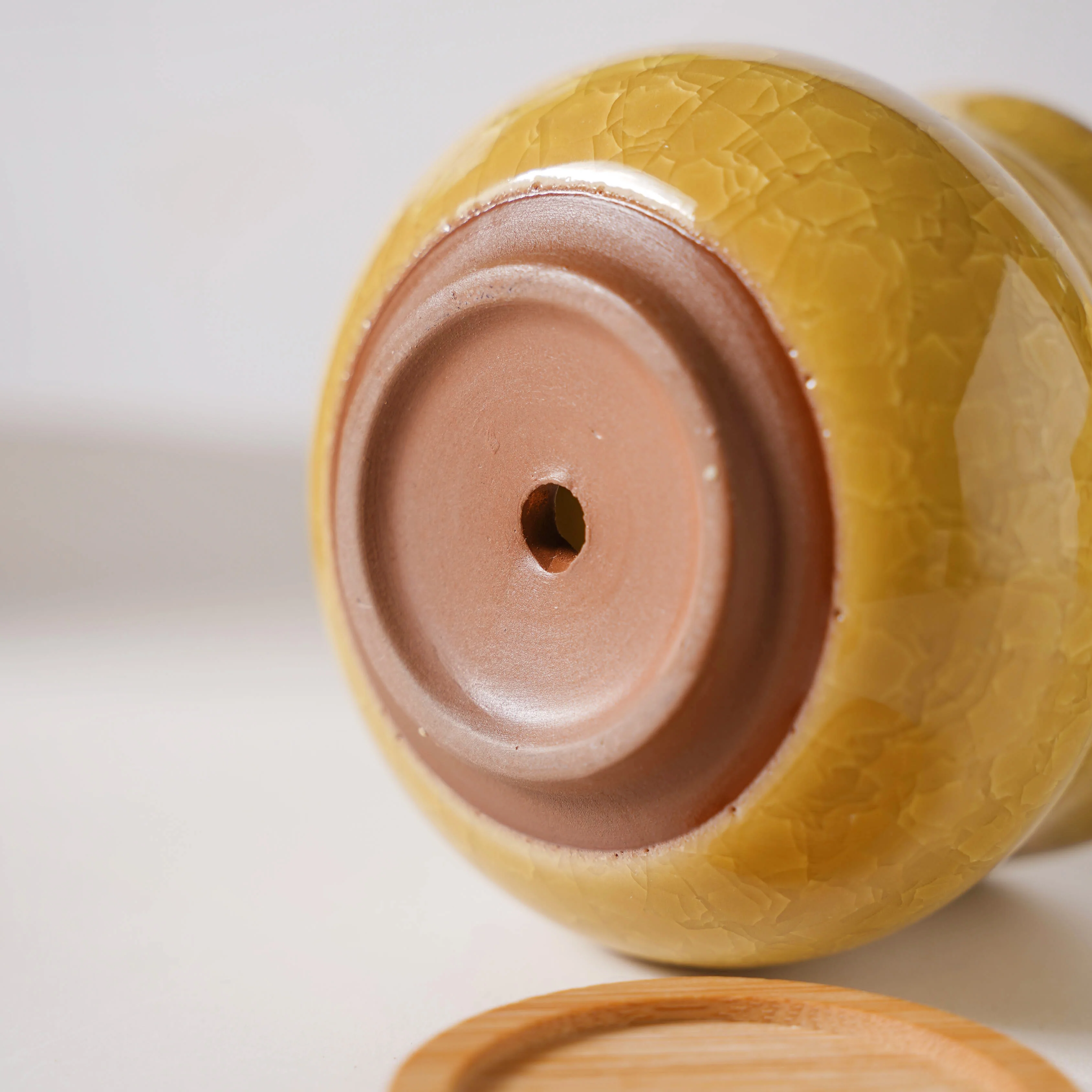 Botanica Ochre Ceramic Planter With Coaster - Image 8