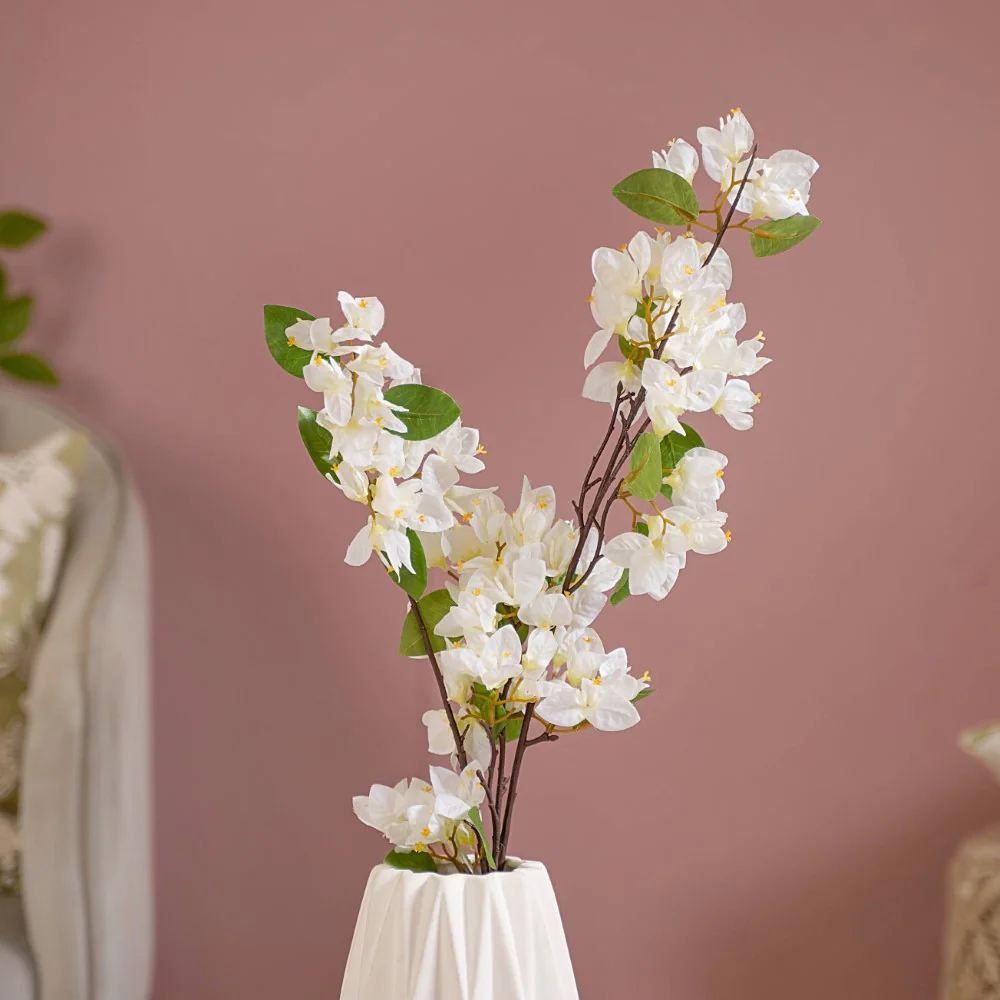 Bougainvillea Flower