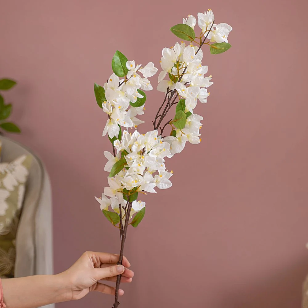 Bougainvillea Flower - Image 2