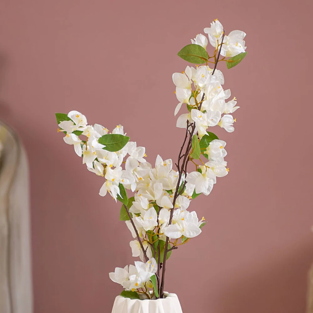 Bougainvillea Flower - Image 4