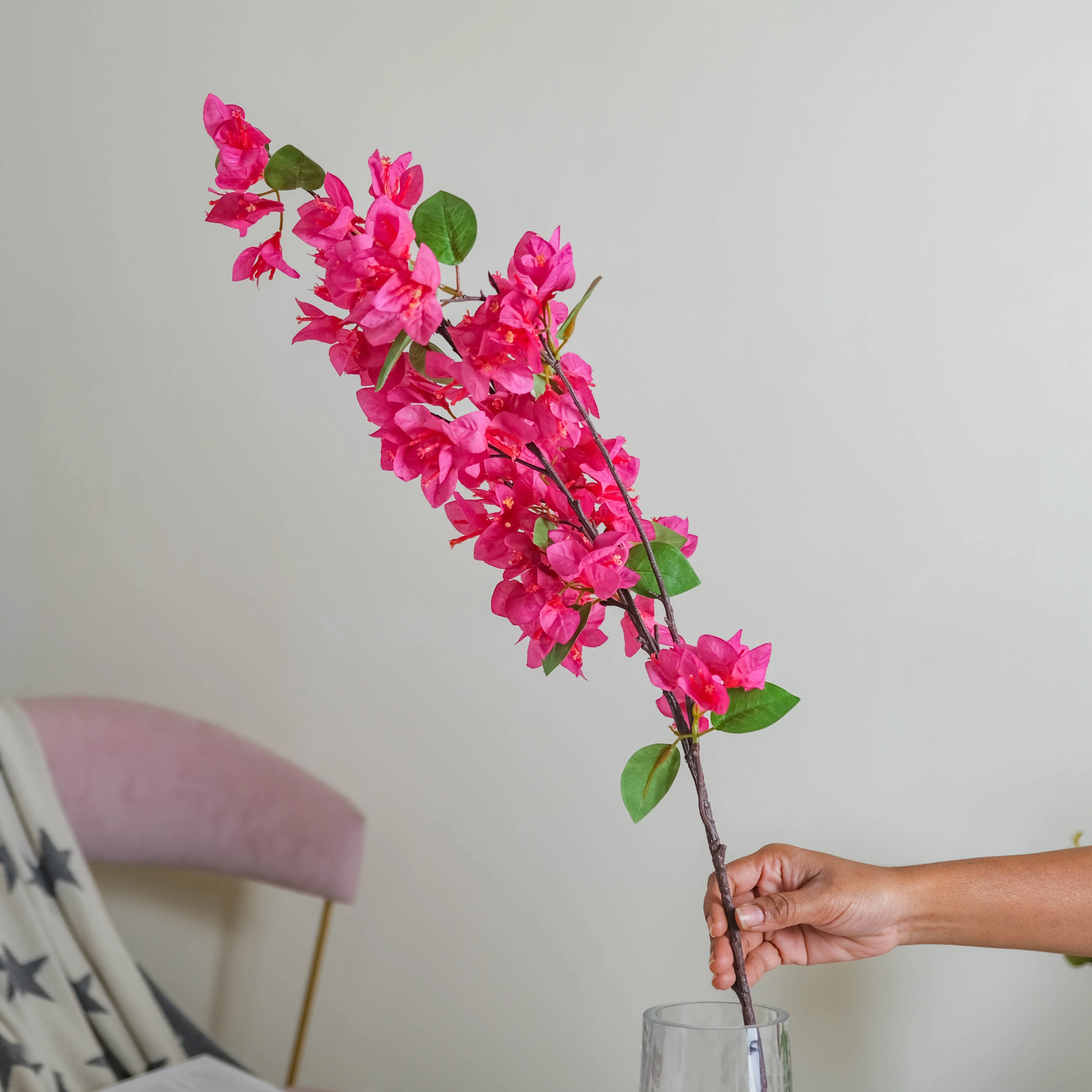 Bougainvillea Flower - Image 7