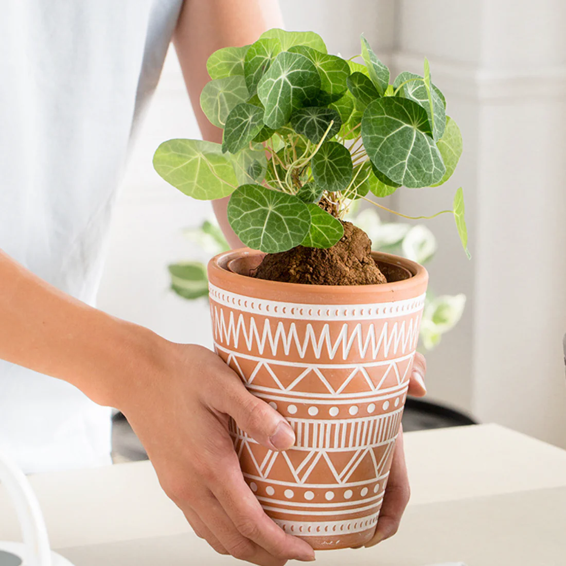 Brown And White Textured Plant Pot - Image 2