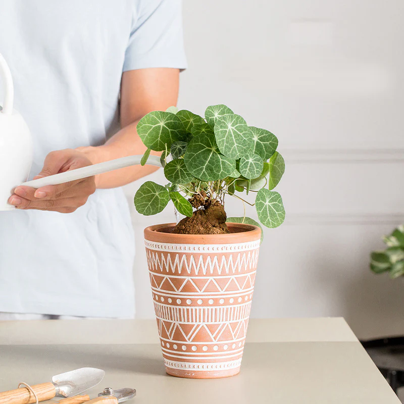 Brown And White Textured Plant Pot - Image 4