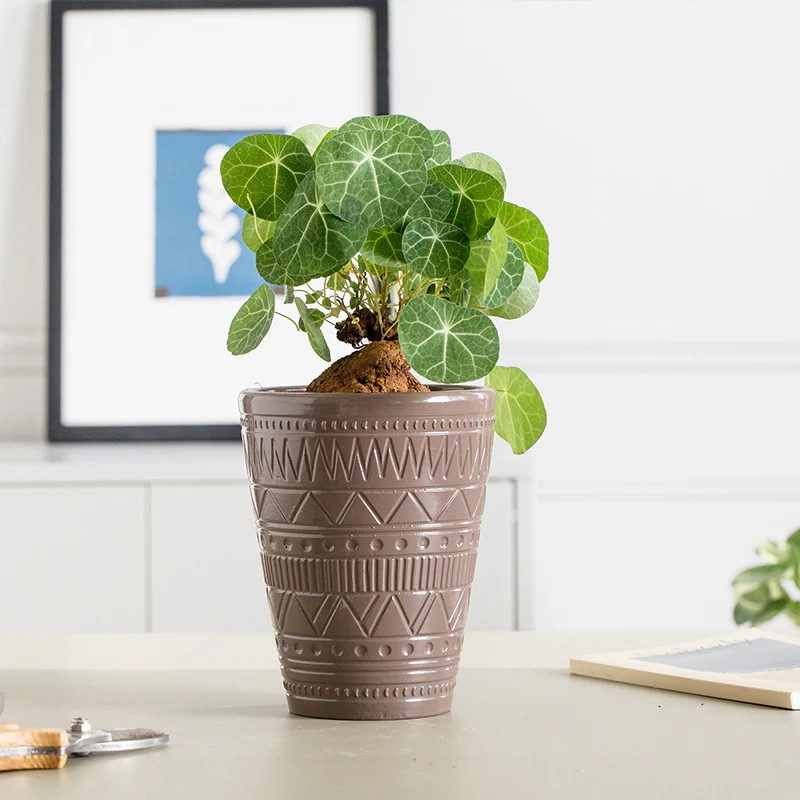 Brown Texture Plant Pot - Image 2