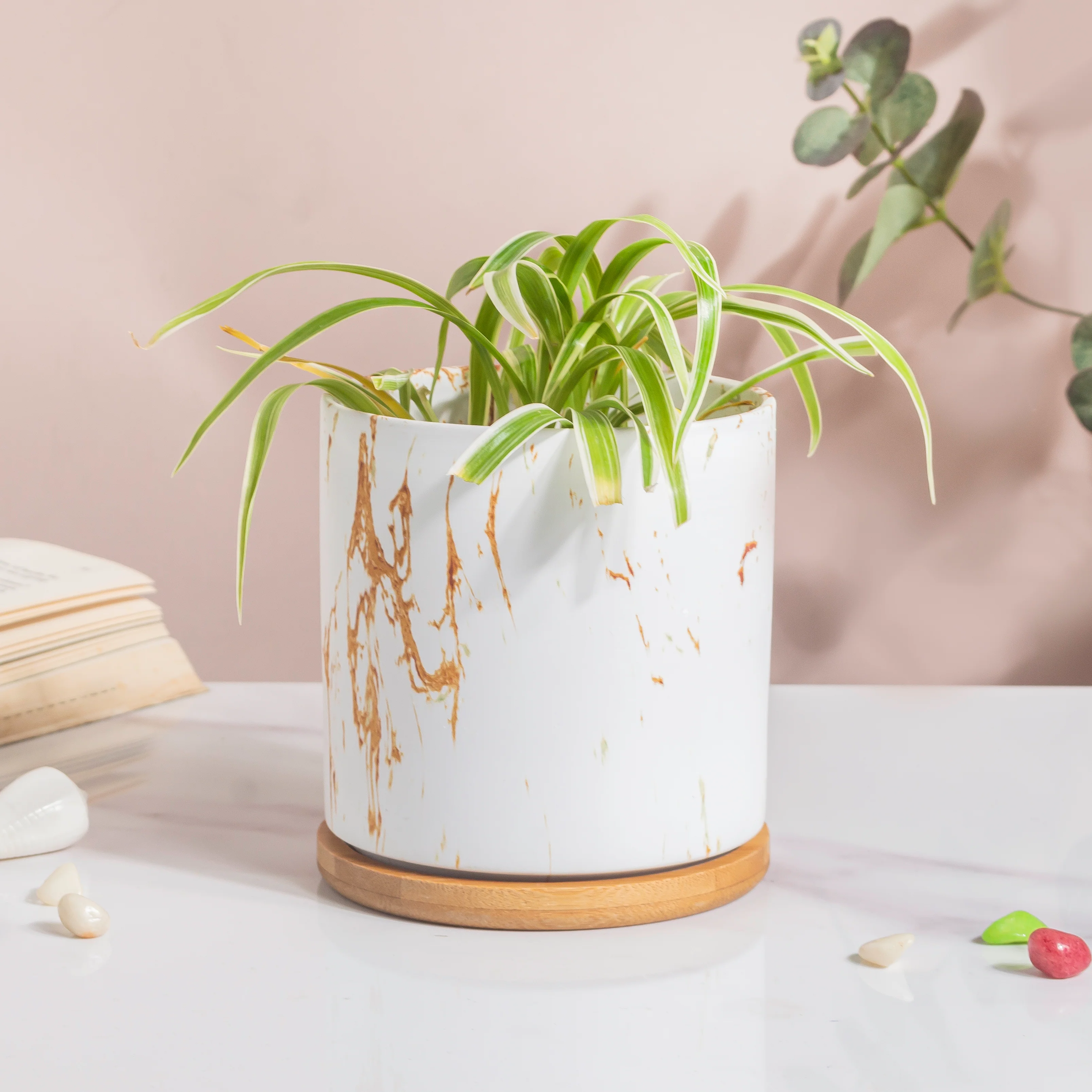 Carrara Brown Streak White Ceramic Planter With Wooden Coaster