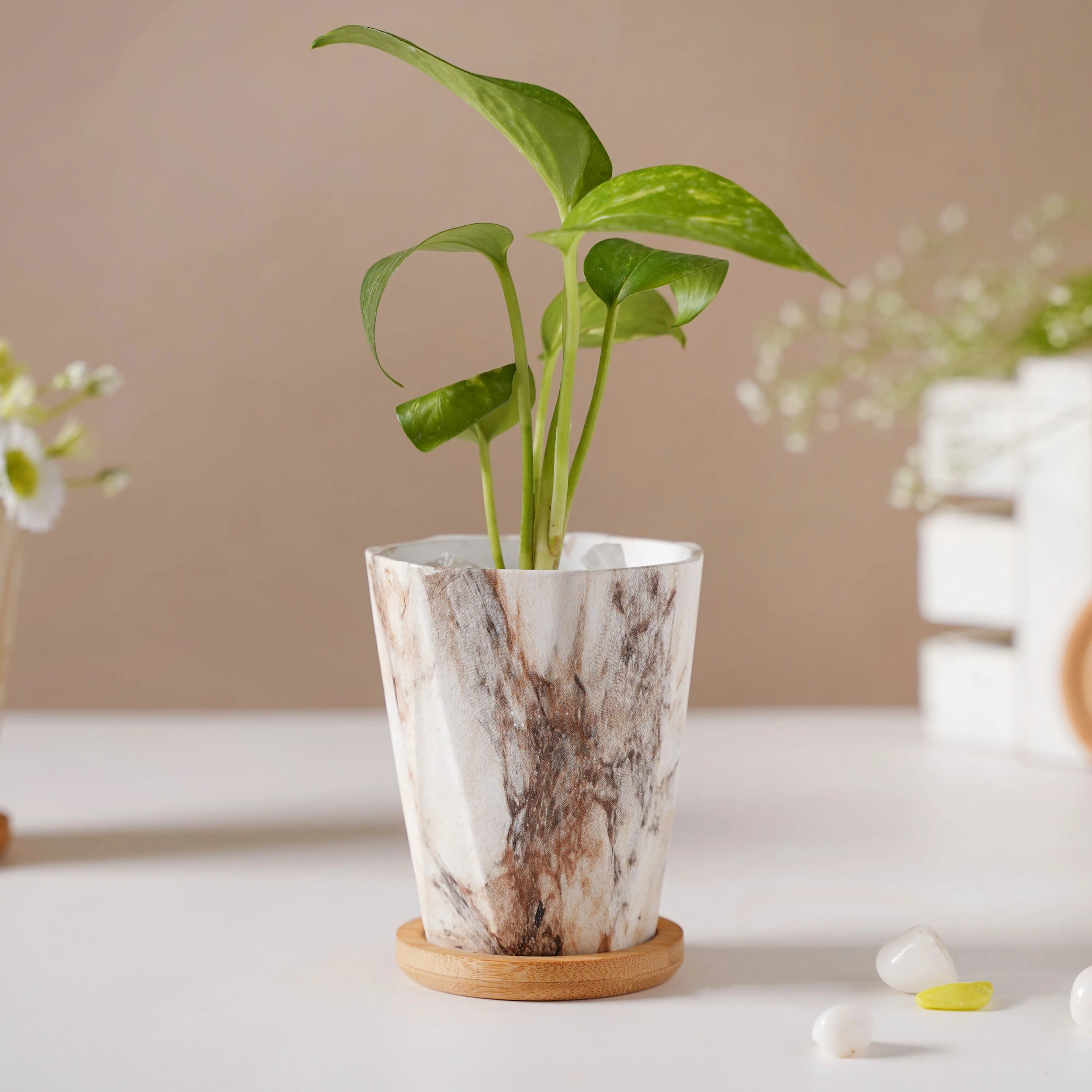 Carrara Marble Brown Planter With Coaster - Image 3