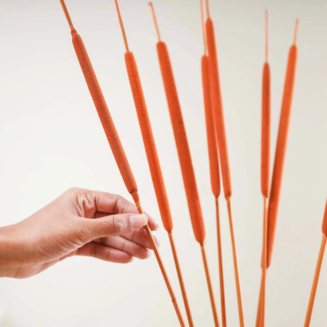 Cattail For Vase - Image 3