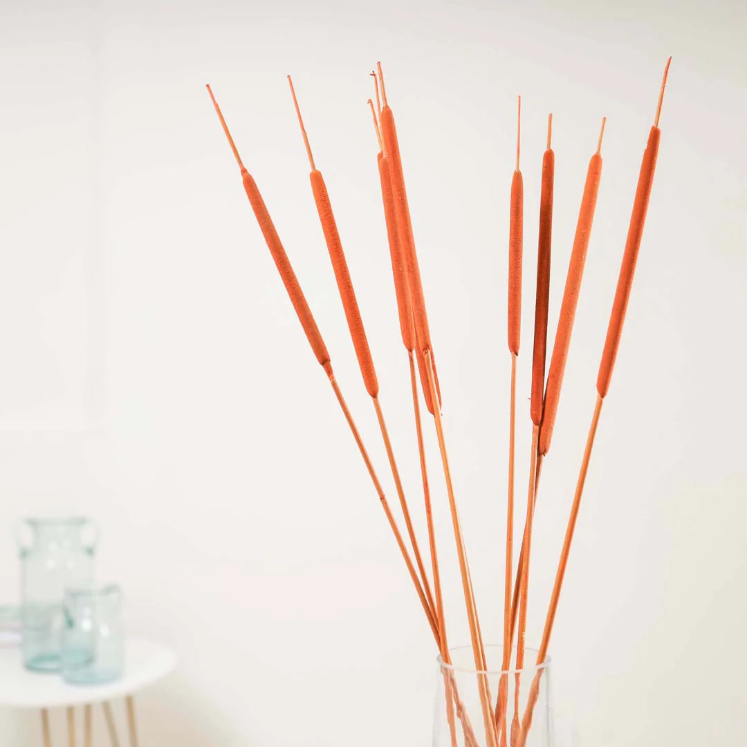 Cattail For Vase - Image 4