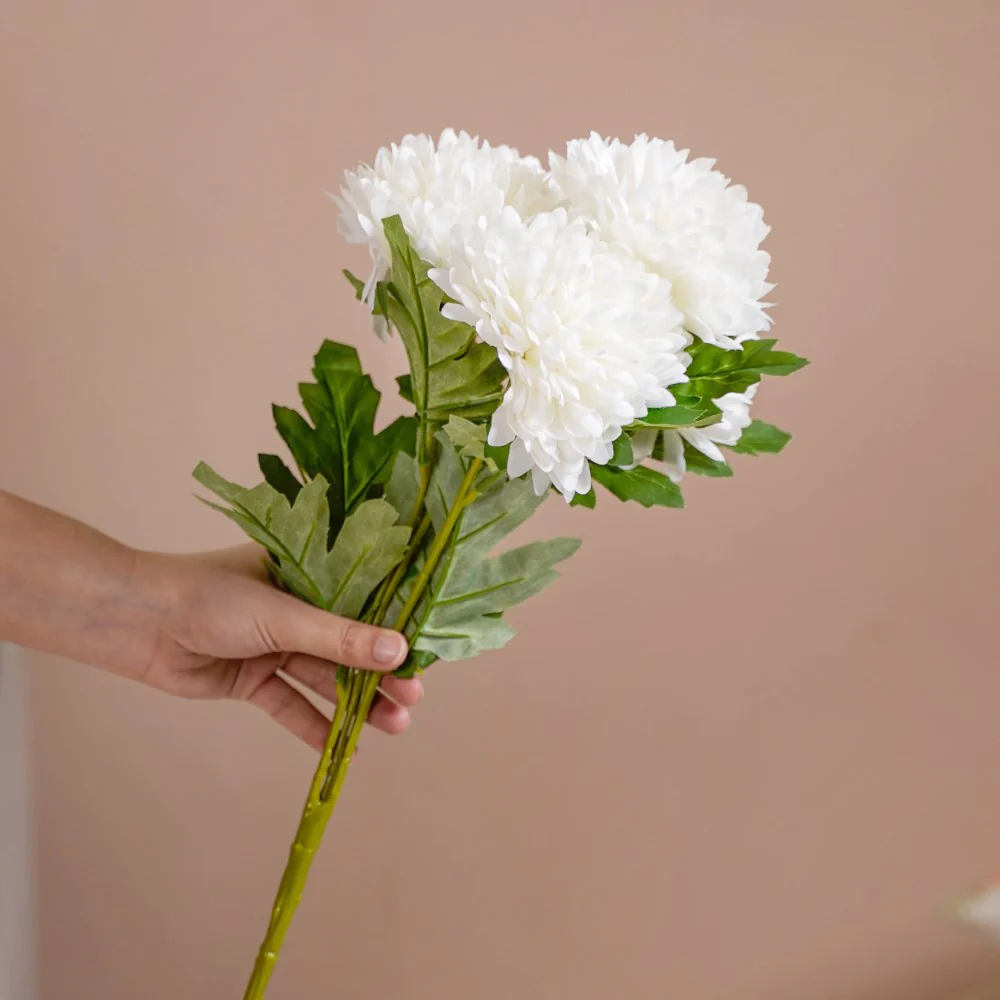 Chrysanthemum Flower White Set Of 5 - Image 2