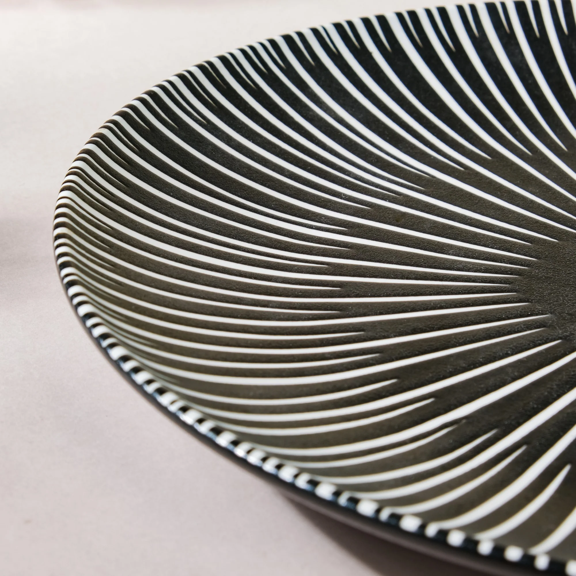 Contemporary Striped Ceramic Dinner Plate Black 9.5 Inch - Image 6