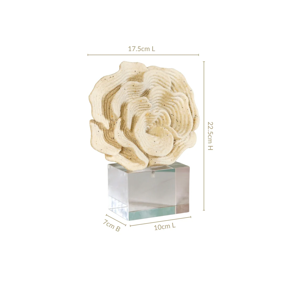 Coral Reef Decor - Image 5