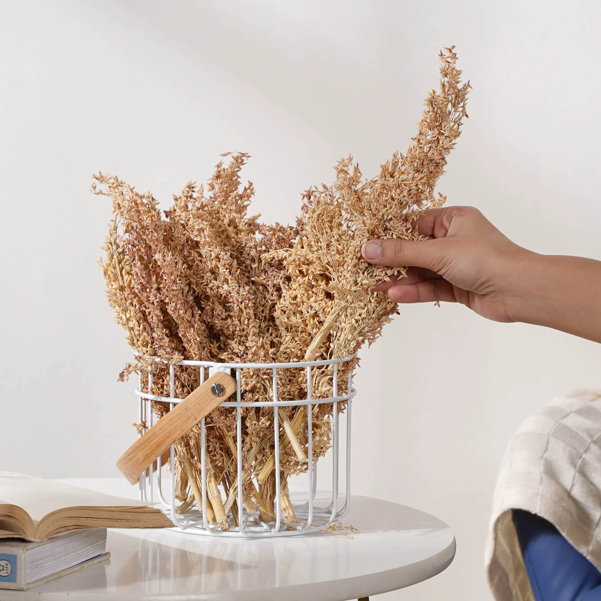 Corn Grass For Decor - Image 3