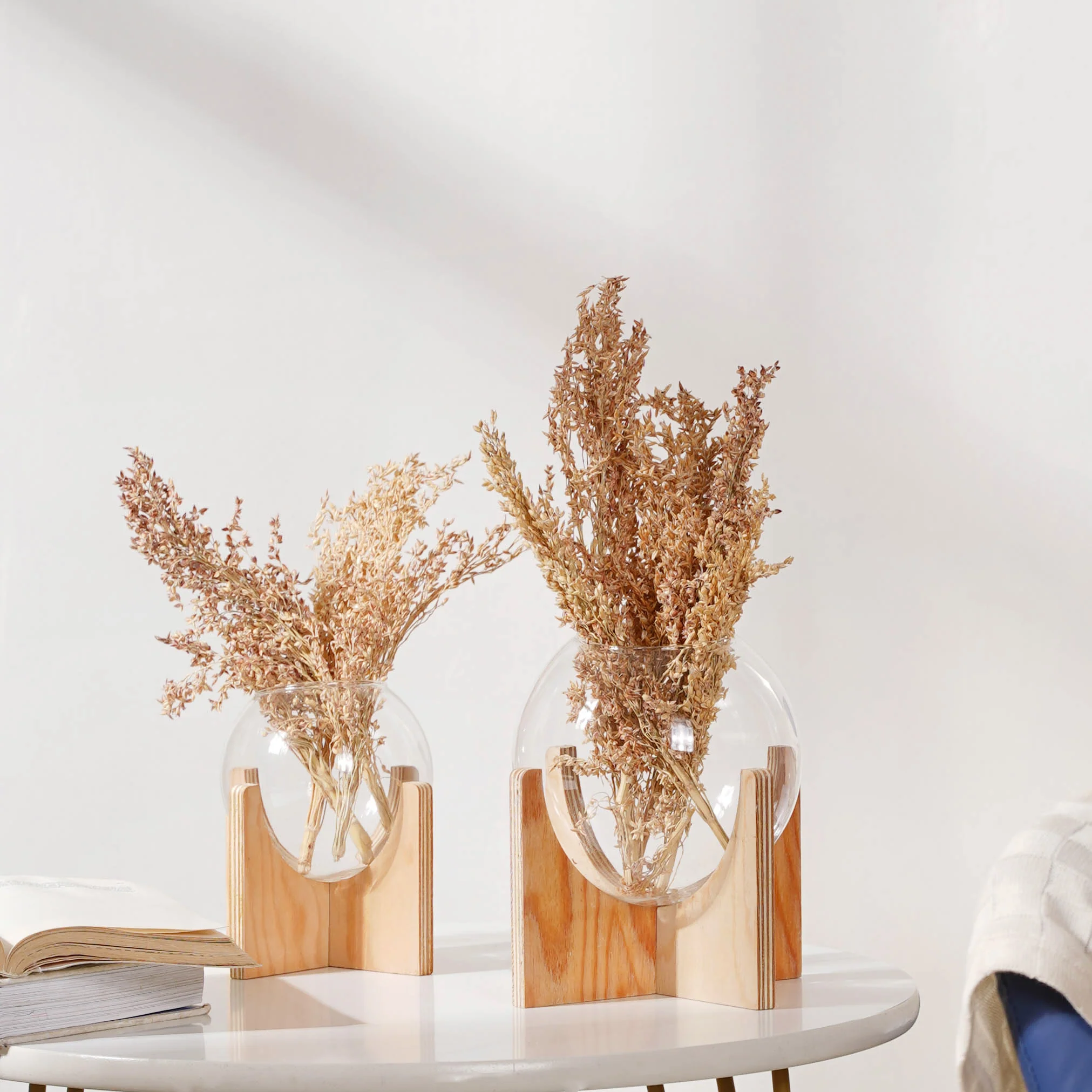 Corn Grass For Decor - Image 4