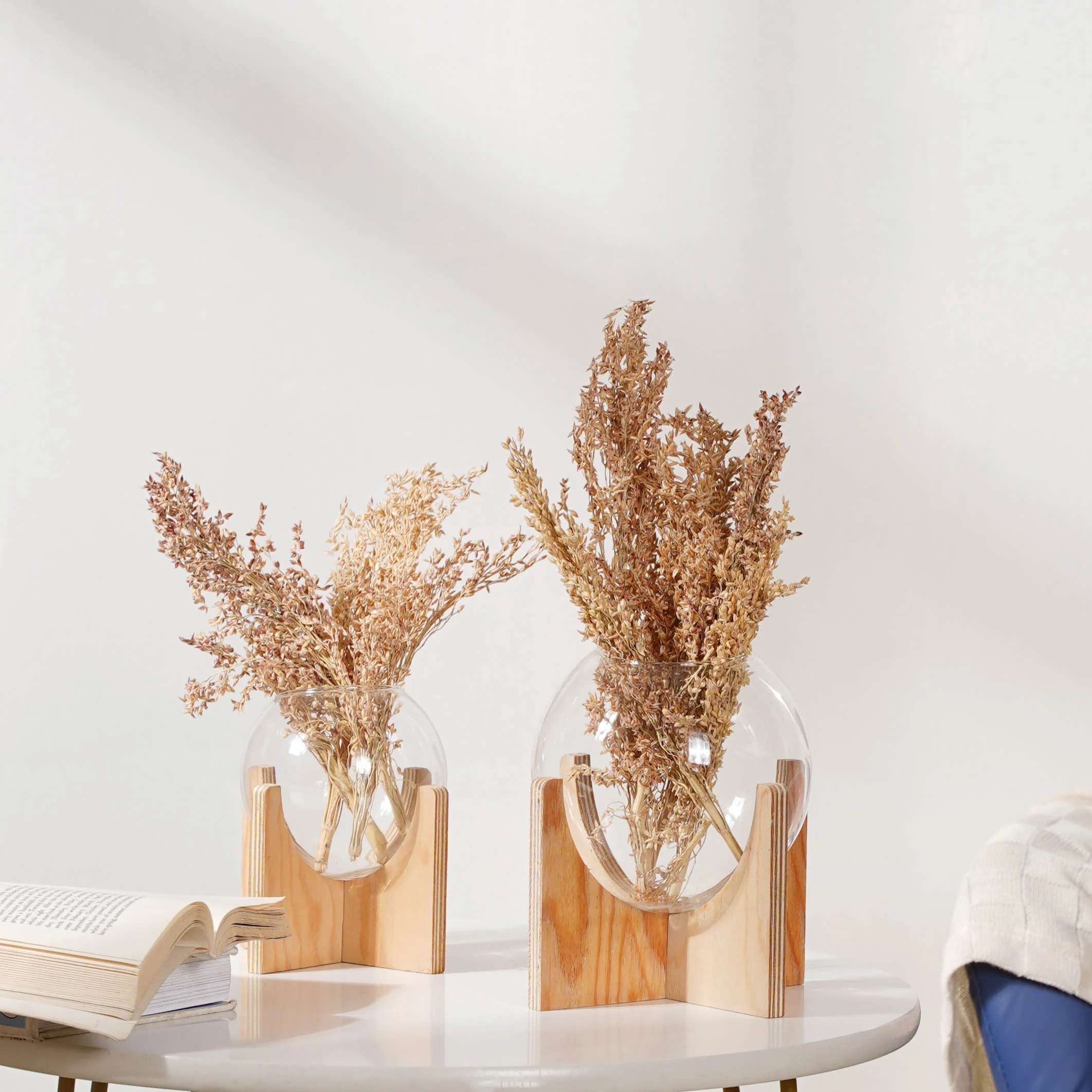 Corn Grass For Decor - Image 5