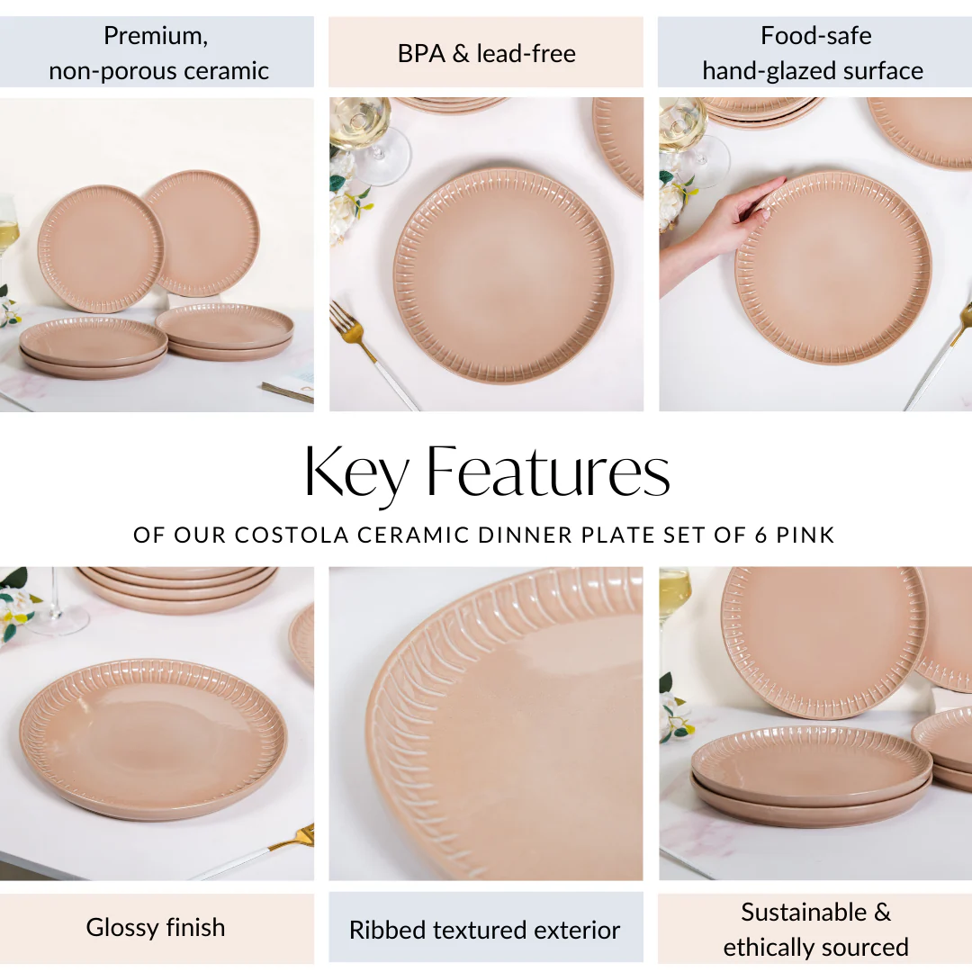 Costola Ceramic Dinner Plate Set Of 6 Pink 10 Inch - Image 5