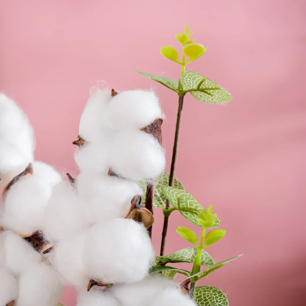 Cotton Bud Stem Set Of 2 - Image 4
