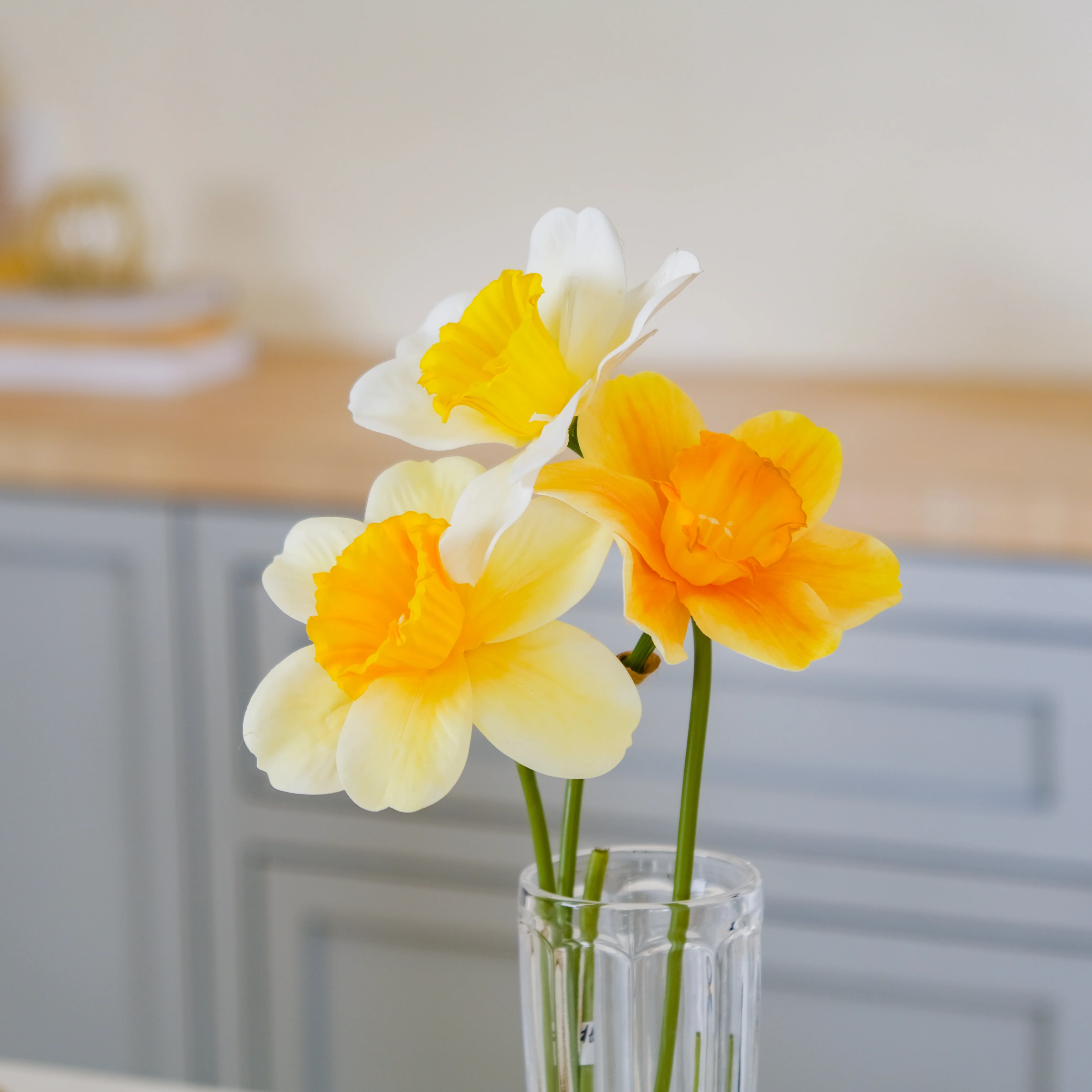 Daffodil Flower - Image 3