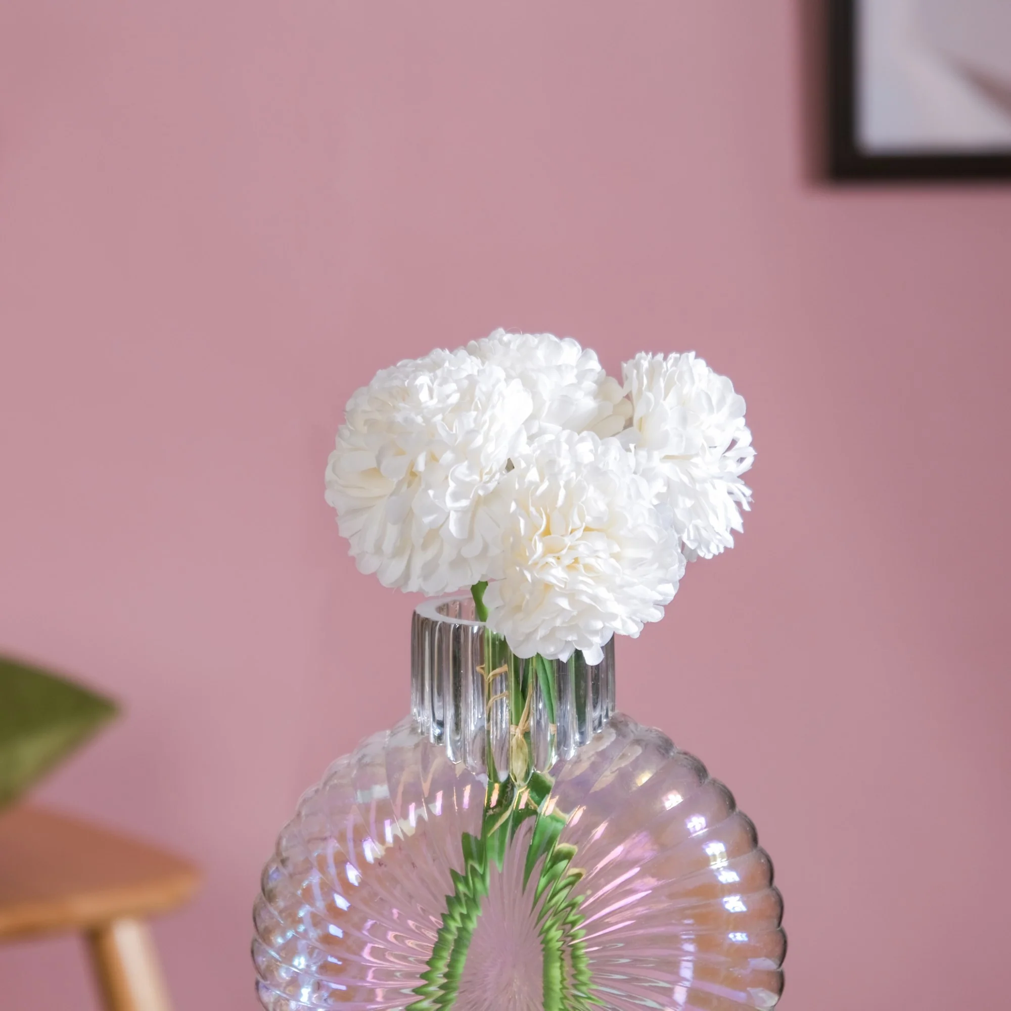 Chrysanthemum White - Image 3