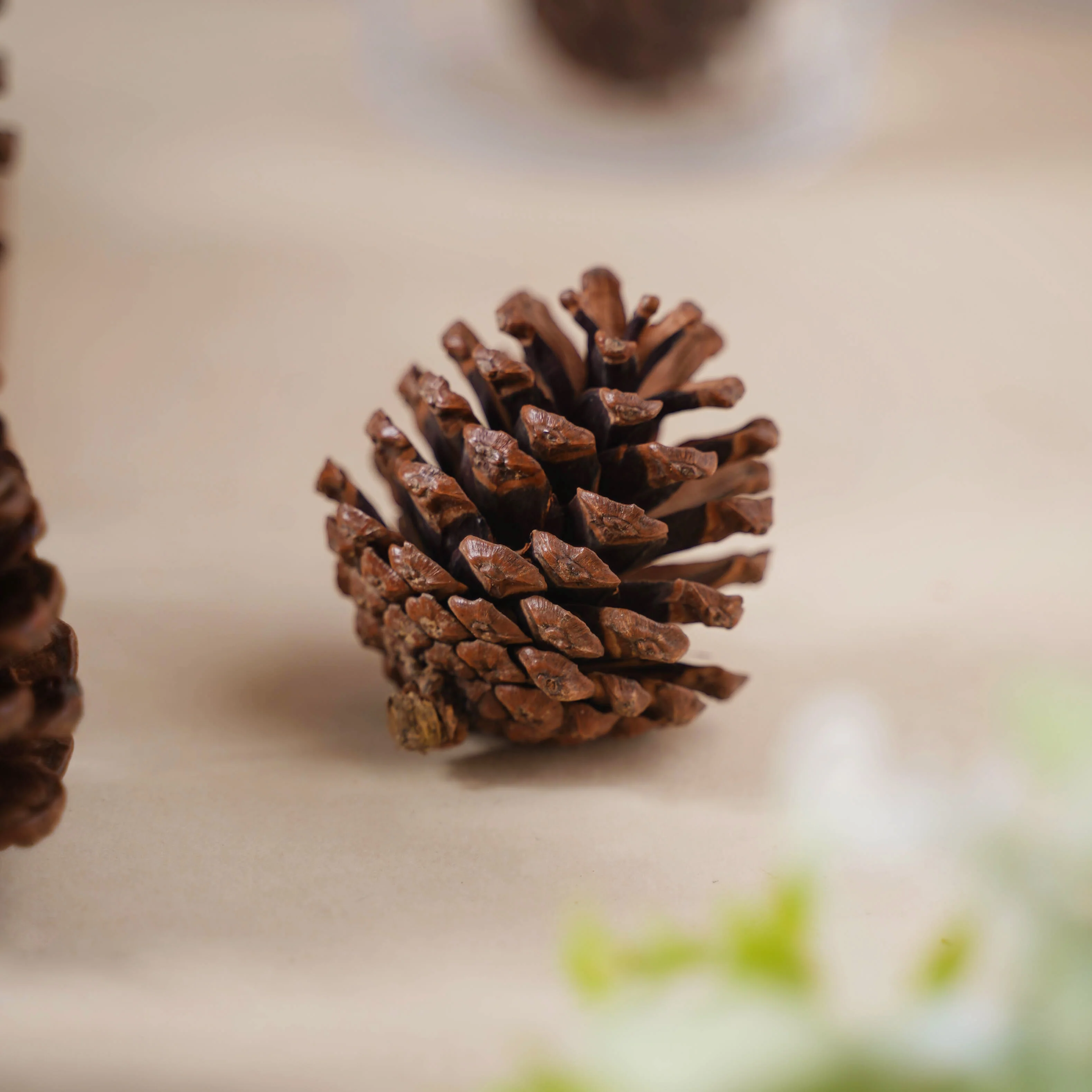 Decorative Cones - Image 5