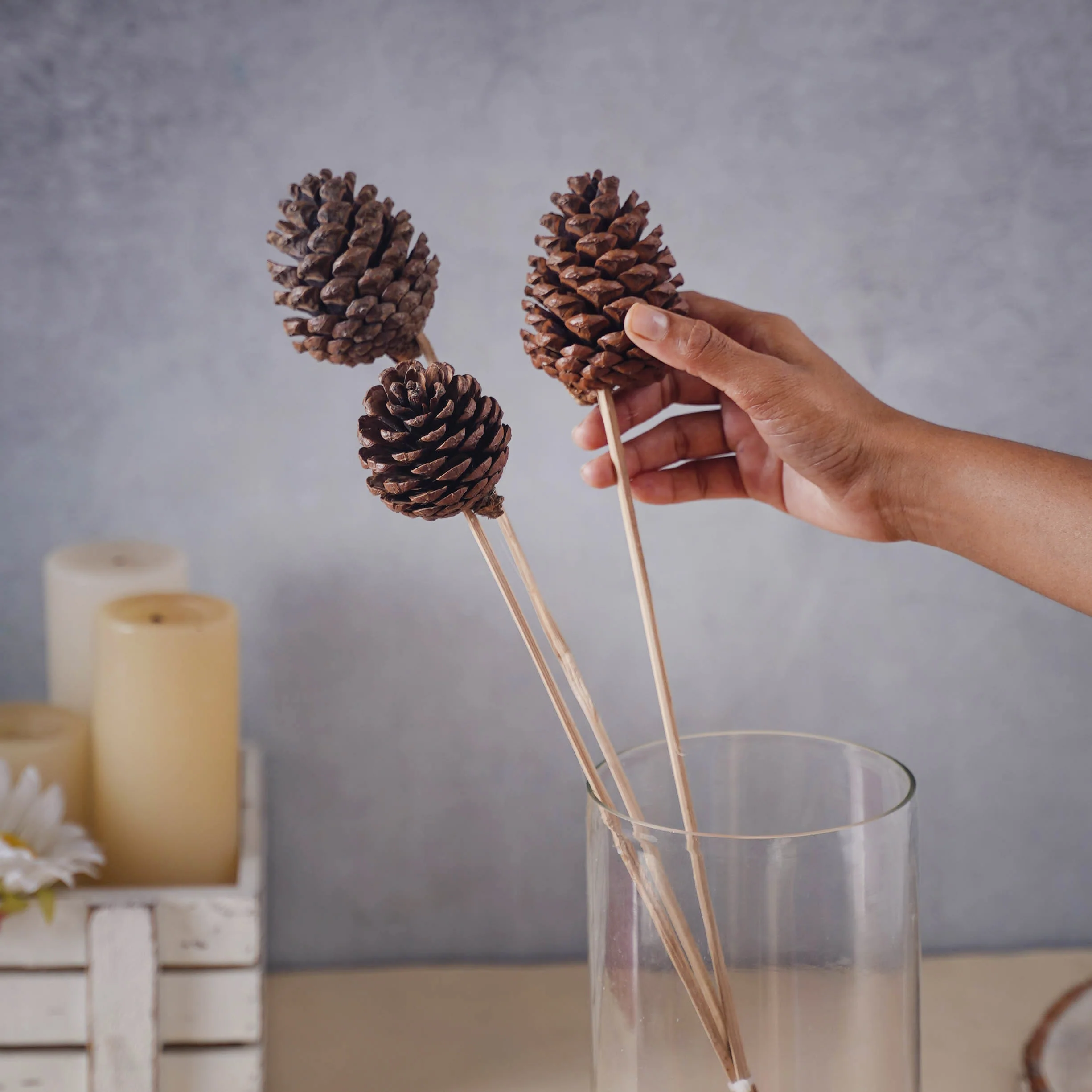 Decorative Pine Cones - Image 3