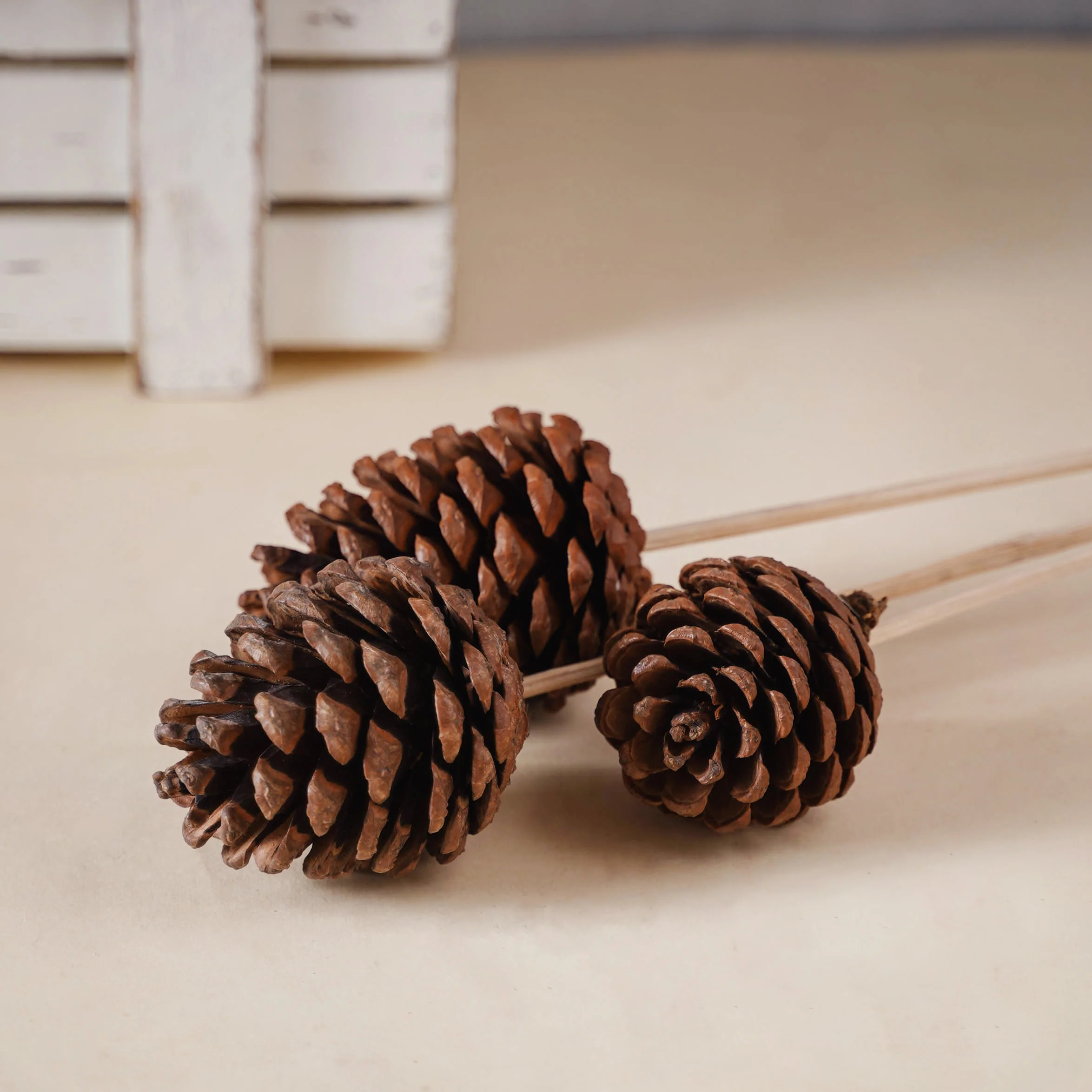 Decorative Pine Cones - Image 4