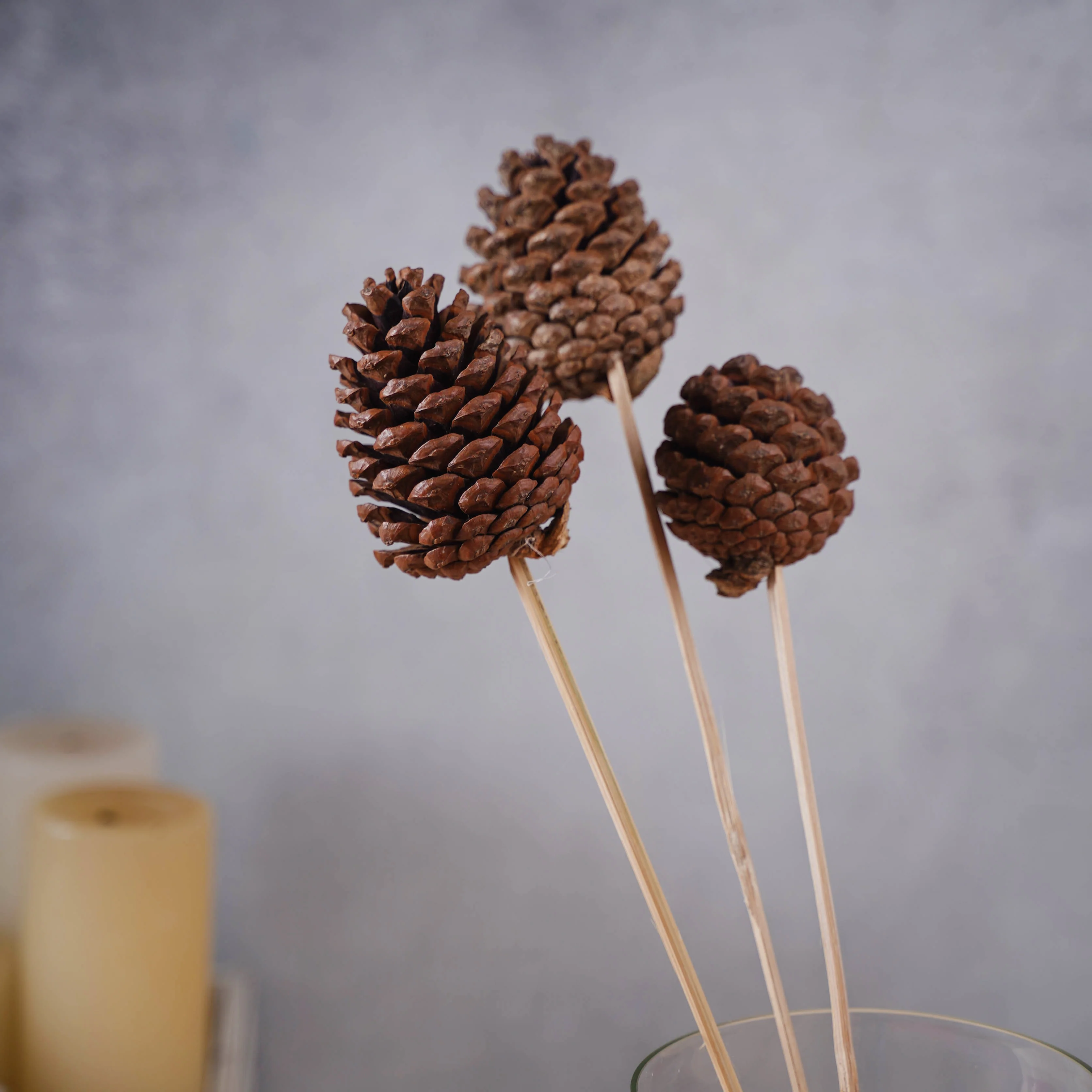 Decorative Pine Cones - Image 6