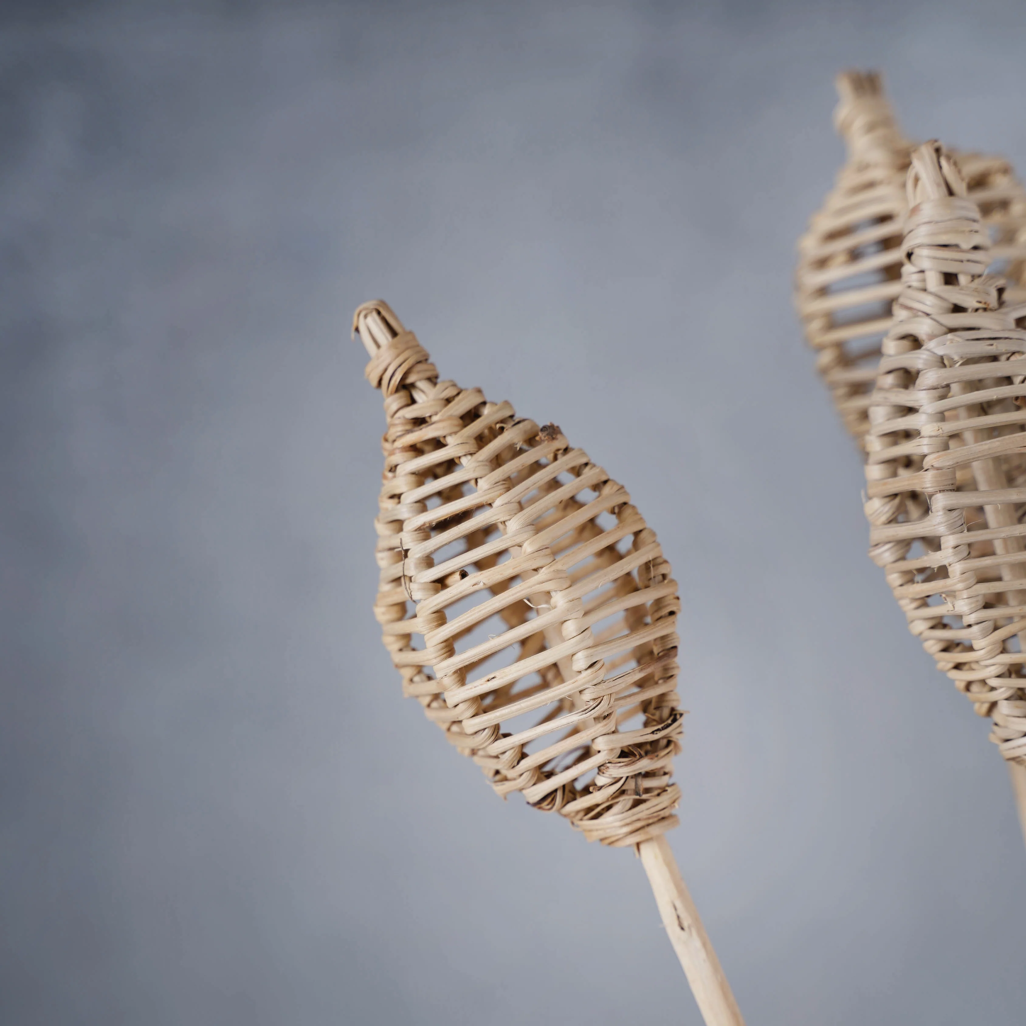 Decorative Stick For Vase - Image 4