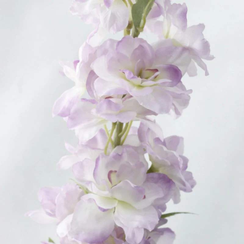 Delphinium Flower - Image 15